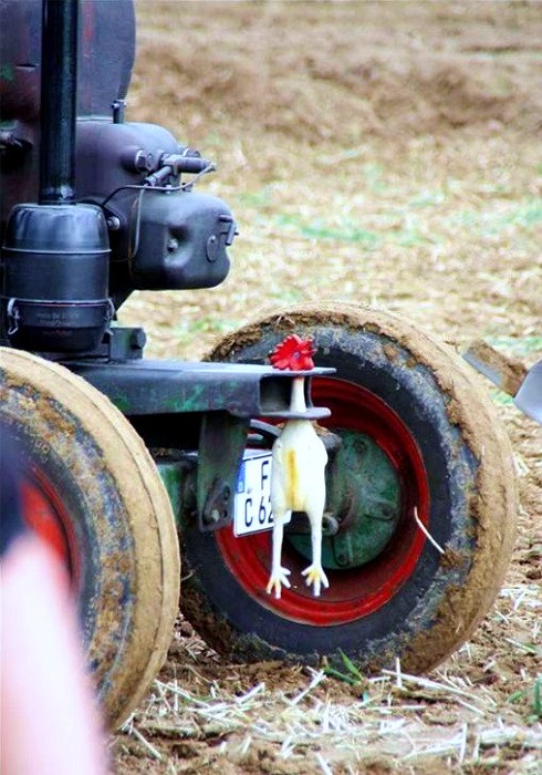 'Mad Max' mit 2-Schar Beetpflug III
