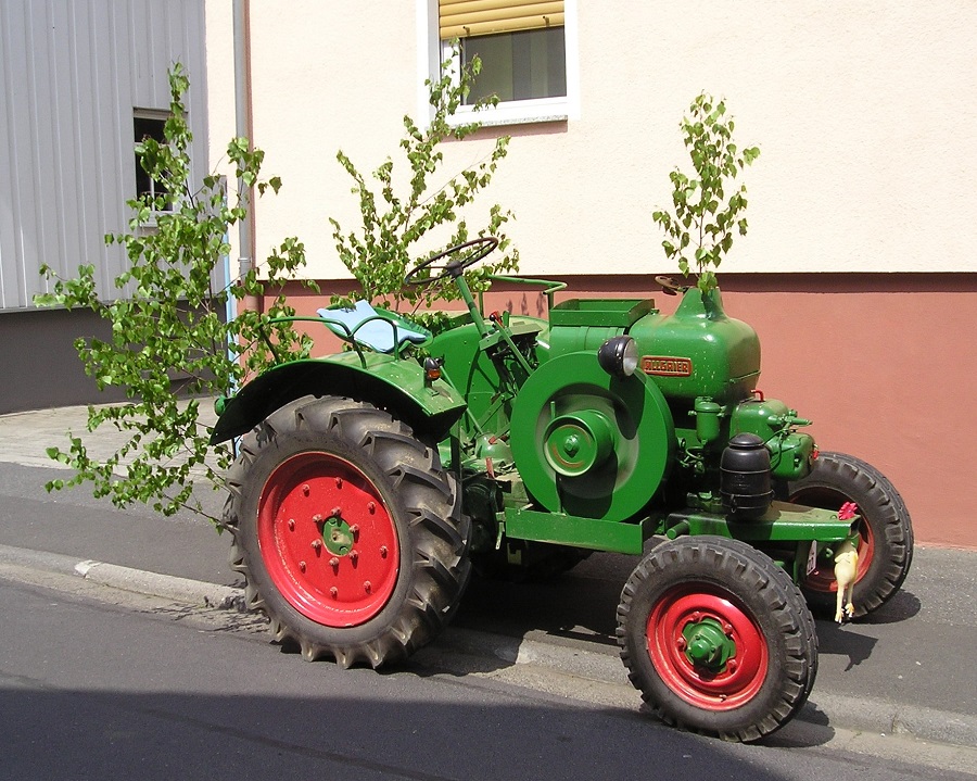 Besuch im fremden Revier III