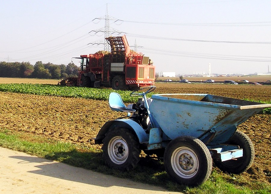 Holmer Terra Dos anno 2006 - III