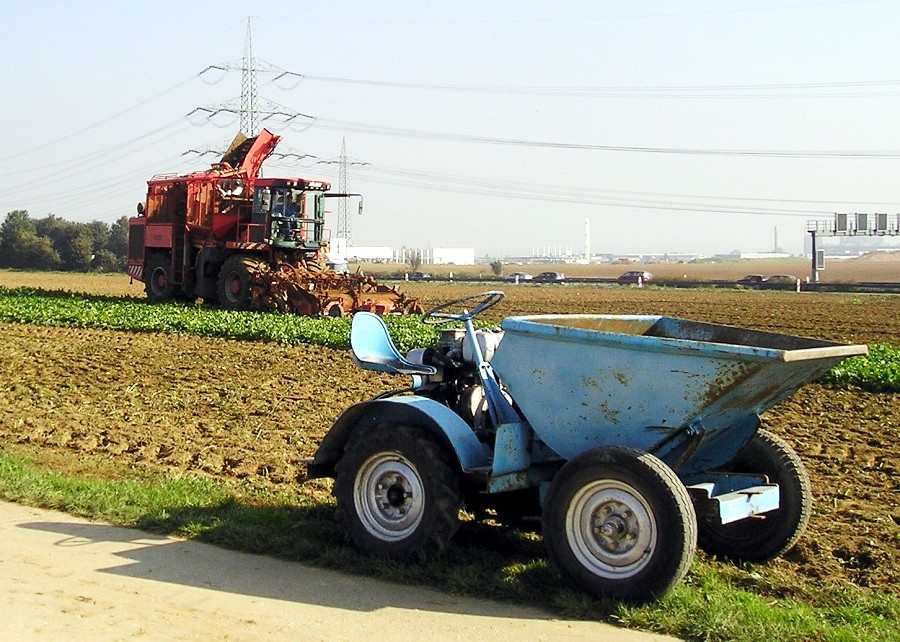 Holmer Terra Dos anno 2006 - IV