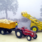 IH 844 von Strenco im Baustelleneinsatz
