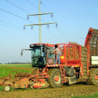 Holmer Terra Dos anno 2006 - I