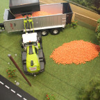 CLAAS Torino beim Beladen