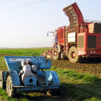 Holmer Terra Dos anno 2006 - II