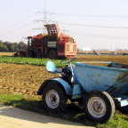 Holmer Terra Dos anno 2006 - III