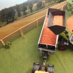 CLAAS Torino beim Beladen