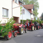 Besuch im fremden Revier IV